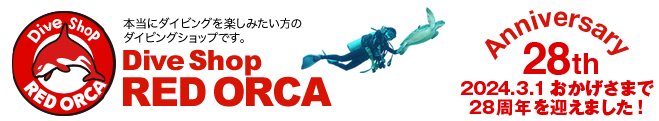 Dive Shop RED ORCA　ダイブショップ レッドオルカ